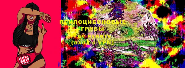 хмурый Аркадак