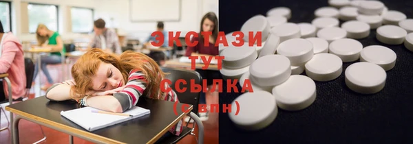хмурый Аркадак