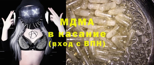 хмурый Аркадак